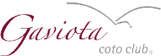 Gaviota